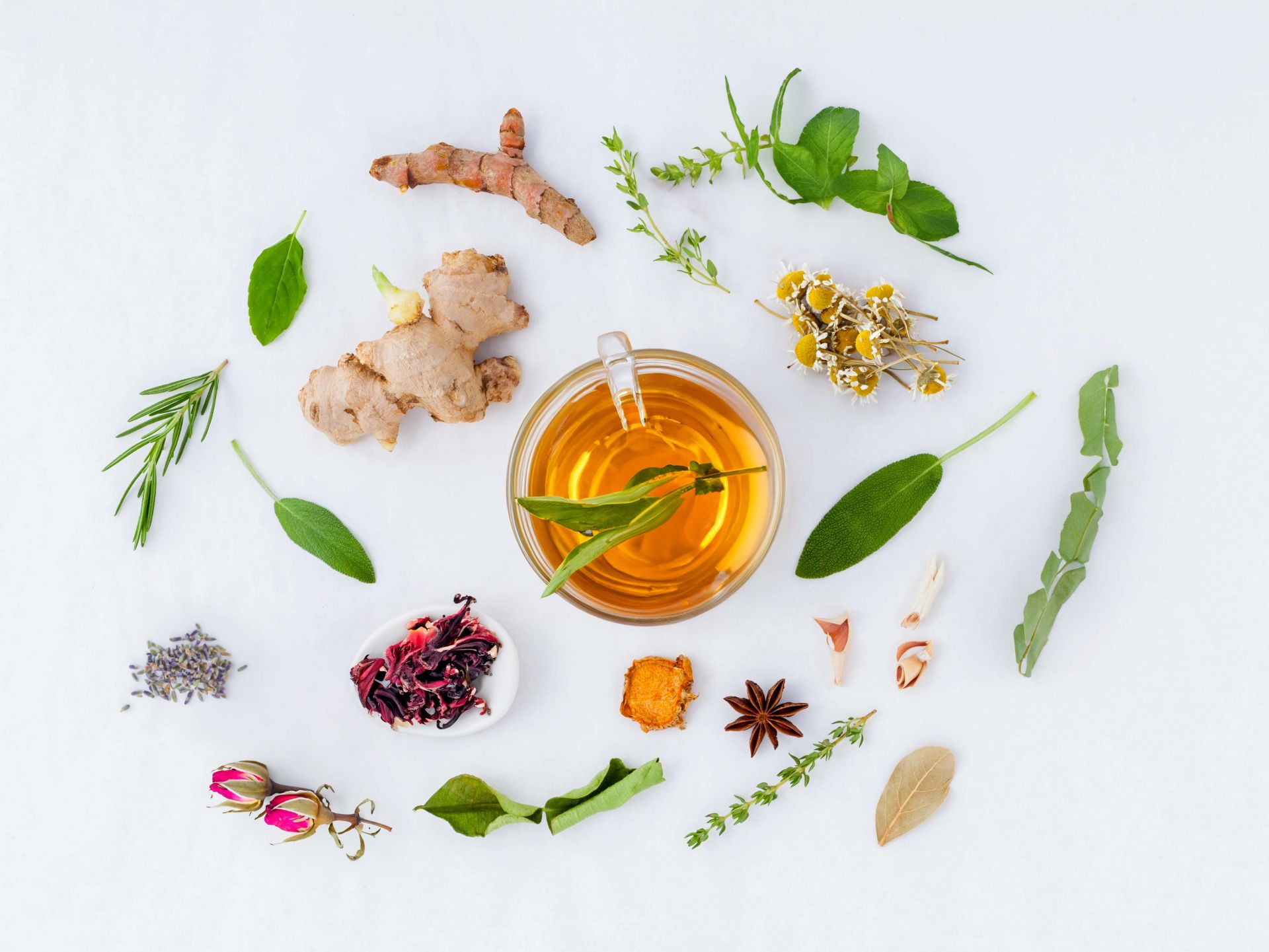 Die Kraft der Natur Wohltuende Wirkungen von Kräutertees